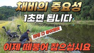 너무 쉽지만 성능은 어마무시한 채비 바꾸자마자 막 나와버립니다#채비의 중요성#fishing #붕어낚시 #얼레채비