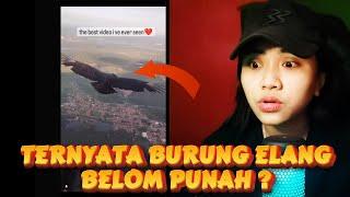 GARA GARA INI BURUNGMU TIDAK AMAN  REACT MEME KOCAK