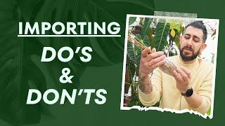 The Ultimate Guide to Importing Rare Houseplants 