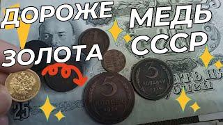  КУПЛЮ МЕДНЫЕ МОНЕТЫ СССР ДОРОЖЕ ЗОЛОТА  узнай секрет  советской нумизматики #монетыссср