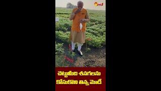 #Short  Modi Eat Chana in ICRISAT  Hyderabad  Sakshi TV Live