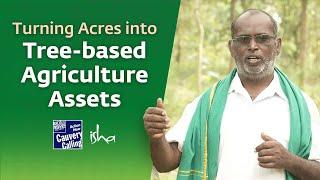 From Acres to Assets Mohanakrishnans Tree-Based Agriculture Journey