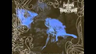 Wolves In The Throne Room - Wanderer Above The Sea of Fog
