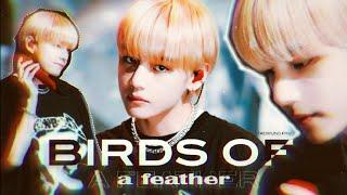 ⊹ BIRDS OF A FEATHER - VTAEHYUNG FMV.