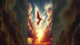 The Spirit of Truth John 1613  Heavenly Music For Deep Healing & Relaxation