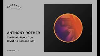 Anthony Rother - The World Needs You DVS1 No Bassline Edit Mistress 12.5