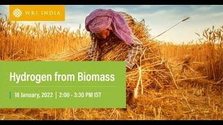 Webinar  Hydrogen from Biomass