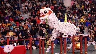 冠軍 2017.11.04泰山獅王爭霸賽-基隆長興呂師父龍獅團  Champion-Lion Dance Competition