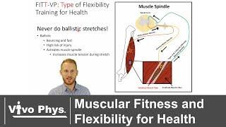 Exercise Testing and Prescription for Health Oriented Muscular Fitness and Flexibility