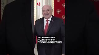 Лукашенко Мы ещё с вами неплохо выглядим #shorts #лукашенко #путин #новости #политика #россия