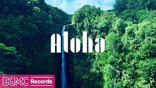 Hawaiian Music for Nature Lovers  Aloha Sounds in a Tropical Paradise