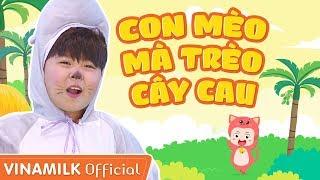 Con Mèo Mà Trèo Cây Cau - Bé Bảo An Hồng Ân Hoàng Bách Ben Lee  Mầm Chồi Lá