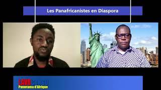 Analyse et Decryptage  Africains Histoire coloniale sous langle des visites guidées décoloniales