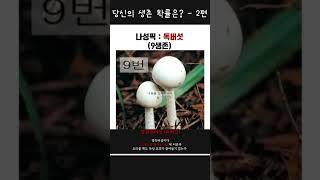 당신의 생존확률은? - 2편