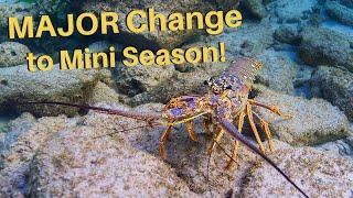 FL Lobster Mini Season 2024 Update SHOCKING Discovery on Early Recon Mission