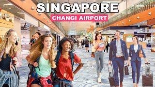 Changi Airport Terminal 1-2-3 Transit Area  Inside Best Airport In The World  Singapore Airport 