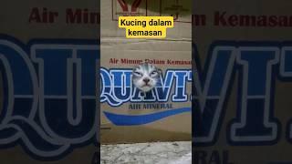 Masih bisa keluar dong