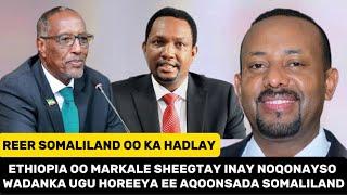 Wasiir Ka Tirsan Xukumada Ethiopia O Sheegay Inay Aqonsanayan Somaliland”Aqoonyahan Siciid ka Hadlay