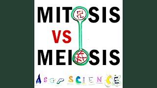 Mitosis vs Meiosis Rap Battle