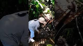 FIKRA LAGI HAUS HAUSNYA BERTEMU MATA AIR SEGAR PERJALANAN KE BADUY