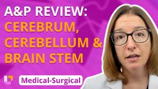 A&P Review Cerebrum Cerebellum & Brain Stem - Medical-Surgical - Nervous System  @LevelUpRN