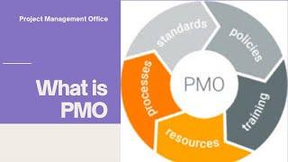 What is the role of Project Management Office