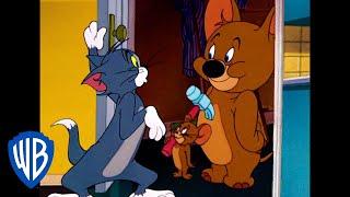 Tom y Jerry en Latino  ¡Atrápame si puedes gato  WB Kids