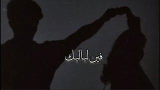 فين لياليك - فضل شاكر - بطيء