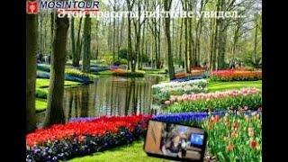 2021 - Лучший в мире парк цветов Кекенхофф. Цветы и музыка для души.