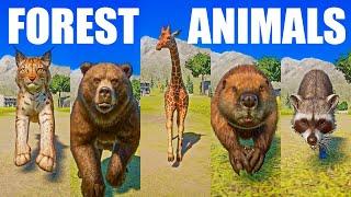 Forest Animals Speed Races in Planet Zoo included Lynx Bear Giraffe Beaver Raccoon