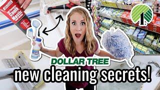 EXTREME $1 DOLLAR TREE CLEANING SECRETS  *NEW* pro tricks to clean your bathroom FAST