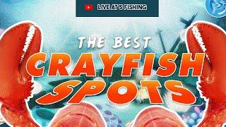 The  Best Crayfish Spots