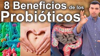 8 Beneficios de los Probióticos - Cándida Gastritis Hinchazón Hígado y Mucho Más