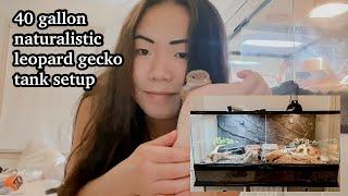 New 40 gallon naturalist leopard gecko tank setup  HUGE leopard gecko tank makeover  SarahMeiPets