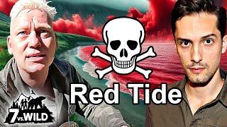 7 Vs. Wild ALLES über die Red Tide  Biologe klärt auf