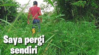 Kalau hati sudah terikat rela masuk hutan.