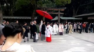 Đám cưới Nhật Bản p2