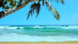 Tropical Beach Ambience  White Noise for Stress Relief Meditation & Sleep  10 Hours