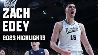 Zach Edey 2023 NCAA tournament highlights