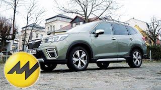 Subaru Forester e-Boxer 2020  Subarus erster Hybrid  Motorvision