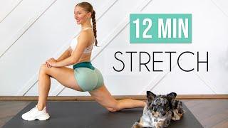 7 ESSENTIAL STRETCHES YOU NEED TO DO DAILY 12 min Stretch for Flexibility & Mobility