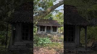 Rumah Terbengkalai Tepi Hutan Kampung Pedalaman Kabupaten Kendal Jawa Tengah