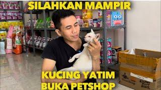 HOREEE KUCING YATIM BUKA PETSHOP SILAHKAN MAMPIR ONTY UNCLE