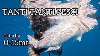 Pescasub  UN MARE DI PESCI