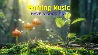 BEAUTIFUL MORNING MUSIC - Boost Positive Energy  Peaceful Morning Meditation Music For Waking Up