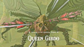 Queen Gibdo Boss Fight - Zelda Tears of the Kingdom