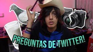 PALOMAS LESHE Y CÁMARAS ROTAS  Preguntas Extrañas de TWITTER