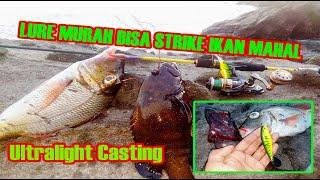 Mancing Pinggiran Pakai Minnow   Strike Ikan Sweetlips Emperor & Ikan Kerapu  Ultralight Casting