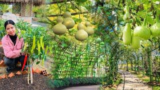 Prepare to grow your dream vegetable garden Grow crops out of the ground