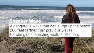 SNEAKER WAVES PSA